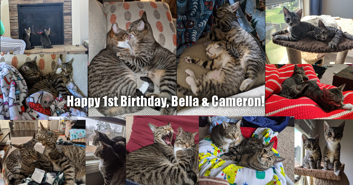 Bella & Cameron Birthday