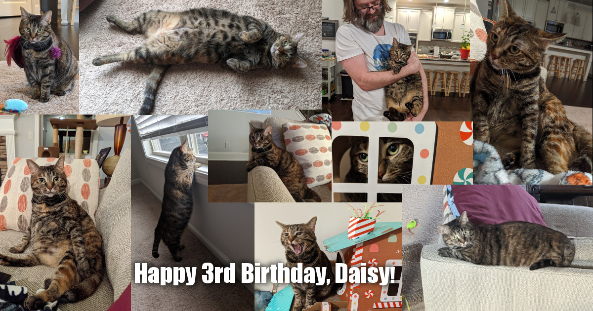 Daisy&rsquo;s 3rd Birthday