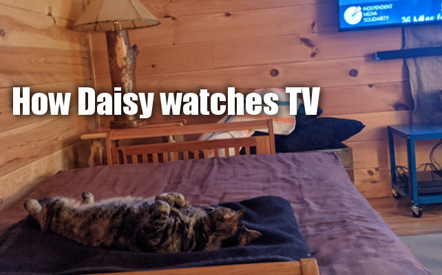 Daisy Watching TV