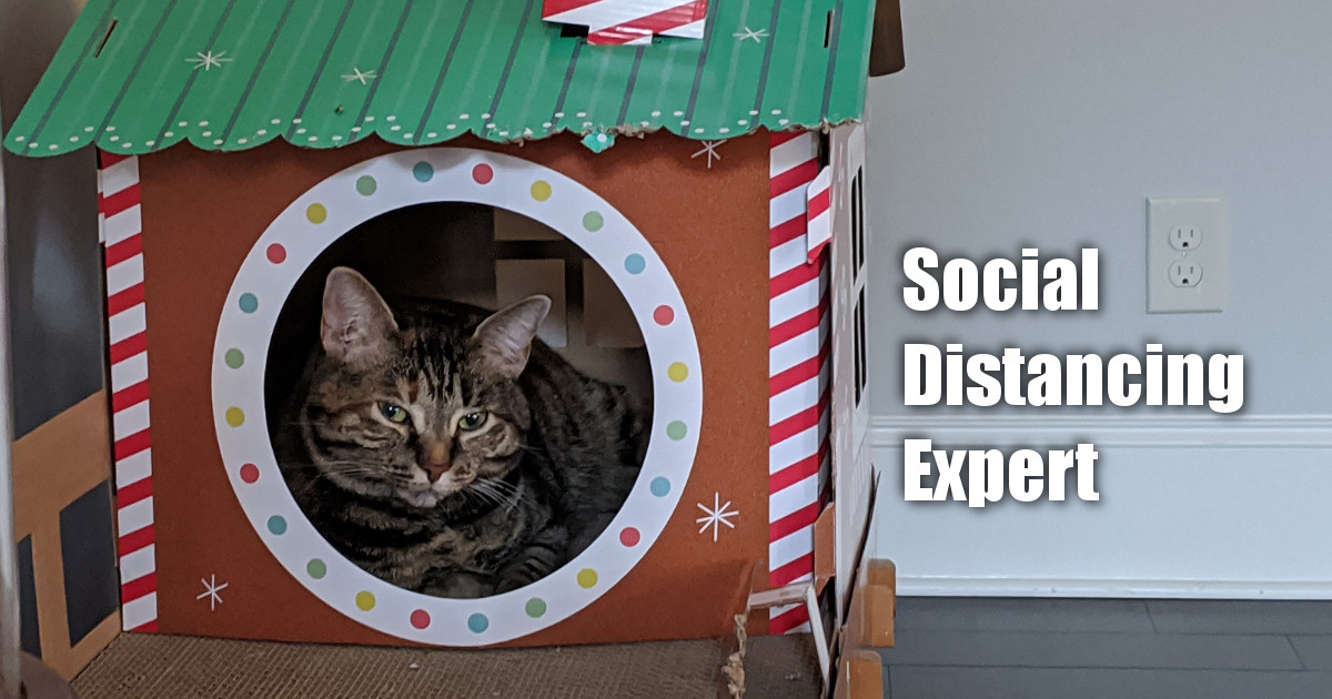 Social Distancing Expert